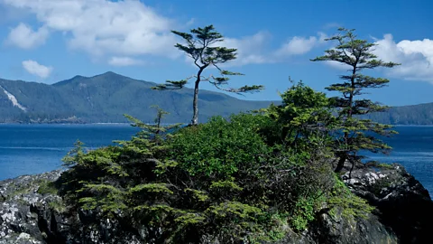 Michael Kamerick Haida Gwaii, British Columbia, Canada, coast