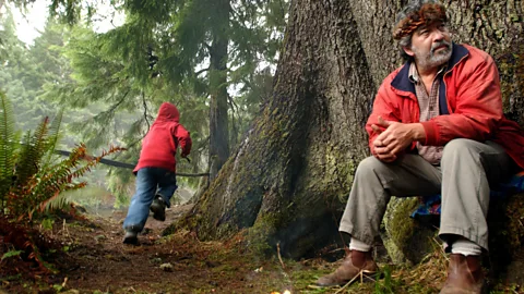 Ann Johansson/Getty Images Haida Gwaii, British Columbia, Canada, forest