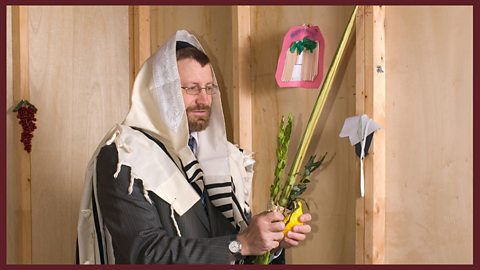 Focus image: A Jewish man holding the ‘Four Kinds’: hadassim (myrtle twigs), aravot (willow twigs), a lulav (palm frond) and an etrog (citrus fruit).