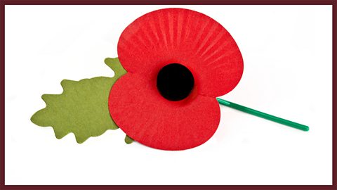 KS1. Remembering... why poppies?