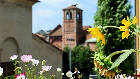 Ortofrai Cortili007 3283