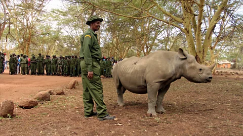 Rachel Nuwer On World Rhino Day people gathered at Lewa Wildlife Conservancy. (Credit: Rachel Nuwer)