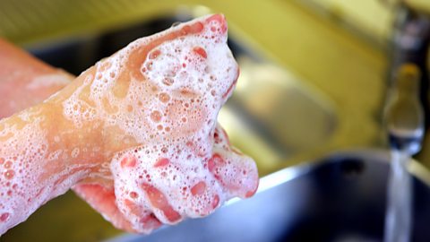 Hands being washed at a domestic kitchen sink