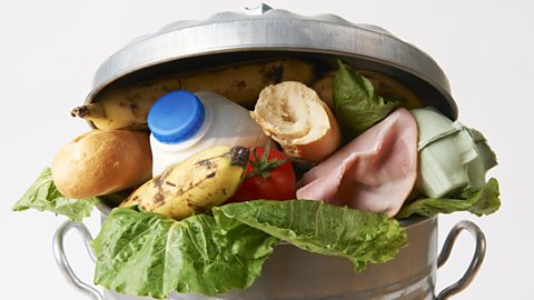 Food waste in a bin