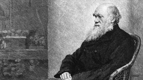 Getty Images Charles Darwin popularised the view that we had emotional 'fingerprints' (Credit: Getty Images)