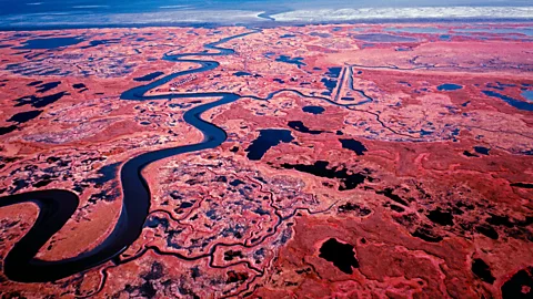 Alamy As the settlement of Kwigillingok thaws, infrastructure is crumbling (Credit: Alamy)