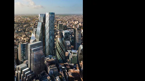 London sky trellis 2