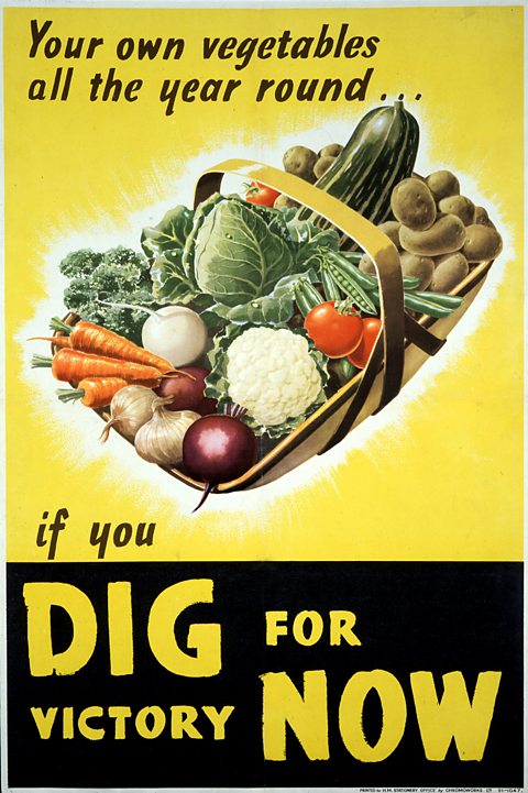 Poster with an illustration of a basket of healthy looking vegetables. The text reads 'Your own vegetables all year round… if you dig for victory now.
