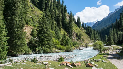 Amanda Ruggeri (Credit: Amanda Ruggeri)