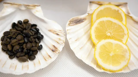 Chris Griffiths (Credit: Chris Griffiths)