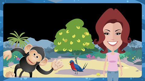 Song 2 - tutorial trancript