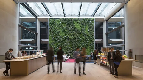 James Newton The communal double-height pantry features a 'living wall' (Credit: James Newton)
