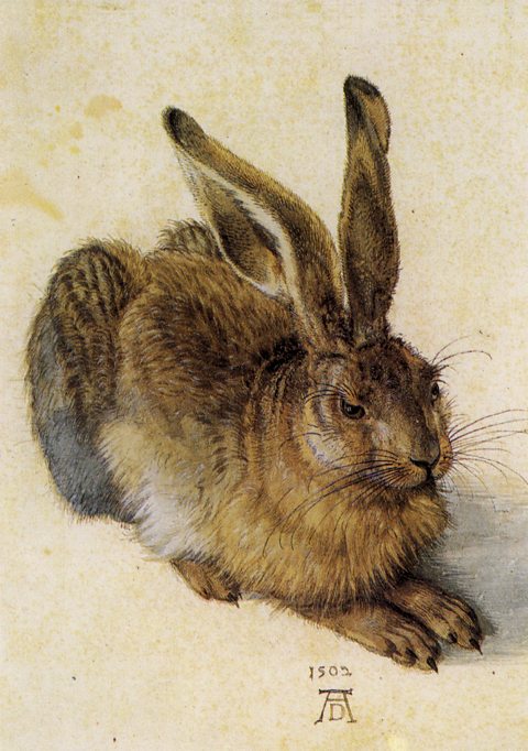 Painting of a hare, using mixed tones