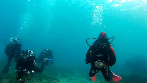 Breena Kerr Many of Israel's underwater archaeological zones are open to divers (Credit: Breena Kerr)
