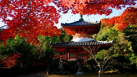 Angeles Marin Cabello A temple in Wakayama Prefecture donated a 16th-Century pagoda as a symbol of spiritual solidarity (Credit: Angeles Marin Cabello)