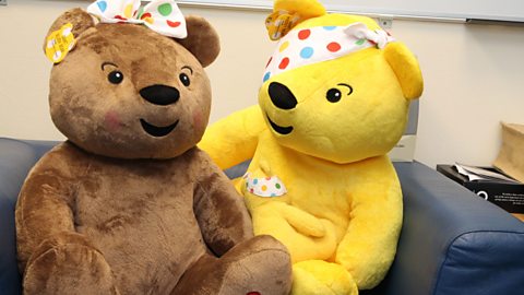 BBC Radio Ulster - Hugo Duncan - Giant Children in Need Pudsey and Blush  Bears