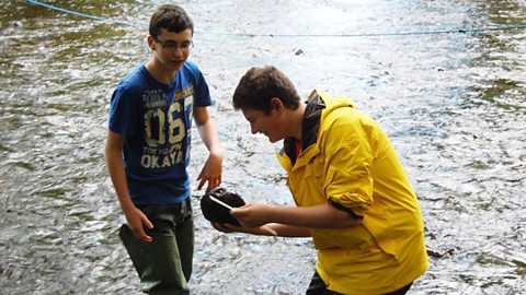 Fieldwork on the Glenarm River