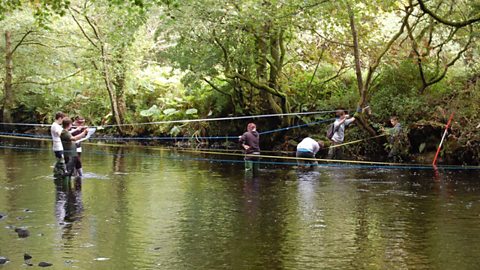 Photograph of Fieldwork on the Glenarm River