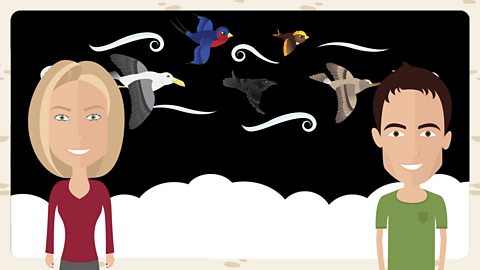 7. Birds of the North