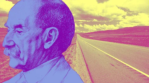 Tom McShane Vespering: an adjective describing anything heading west or flying towards the sunset – coined by Thomas Hardy in his poem The Year’s Awakening (Credit: Tom McShane)