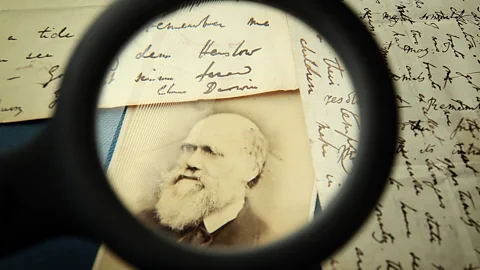 Getty Images Far from failure, pivoting can lead to success. Charles Darwin first studied to become a doctor, then a parson (Credit: Getty Images)