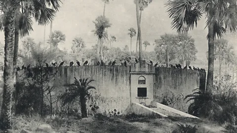 Getty Images In India, parsi funeral towers allowed dead bodies to be consumed by vultures (Credit: Getty Images)