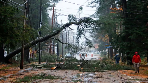Jill Brady/Portland Press Herald/Getty Images A bomb cyclone hit Maine in the US, uprooting trees and downing power lines in November 2017 (Credit: Jill Brady/Portland Press Herald/Getty Images)