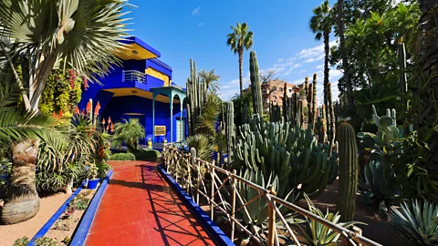 Alamy The famous Jardin Marjorelle has inspired the preservation and creation of peaceful green spaces in Morocco (Credit: Alamy)