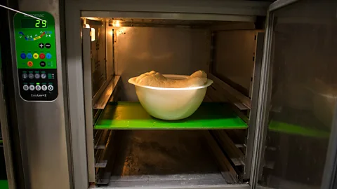 Amanda Ruggeri Dough rising for panettone (Credit: Amanda Ruggeri)