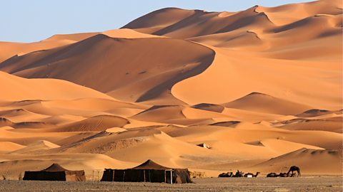 Two bedouin tents and camels in the foreground with with huge sand dunes towering above them.