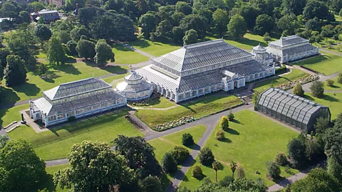 Royal Botanical Gardens Kew (Credit: Royal Botanical Gardens Kew)