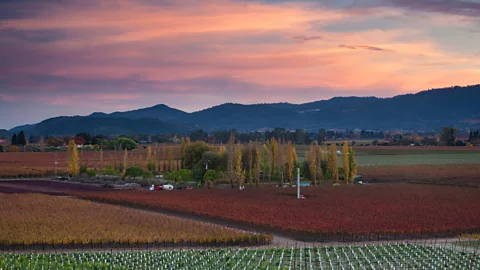 Alamy Graham had two days and an unlimited budget to arrange a birthday celebration in California’s Napa Valley (Credit: Alamy)