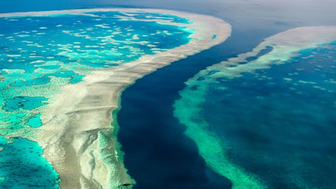 Swooping shapes of the reef can bee seen in the vivid blue sea