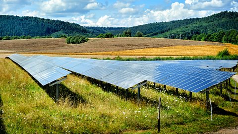 Paneli solar niferus yn wynebu’r haul mewn cae o laswellt a blodau gwyllt.