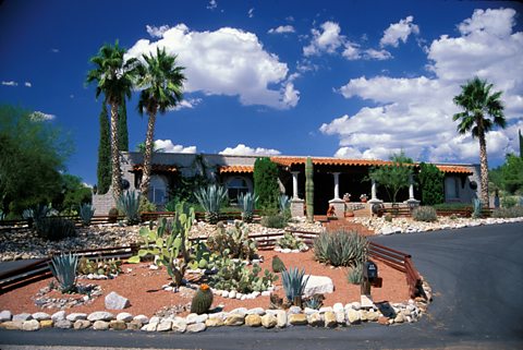 A manicured garden composed of cacti, suculents, pebbles and fences