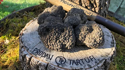 David Farley Visitors to Istria, Croatia, can indulge in all things truffles (Credit: David Farley)