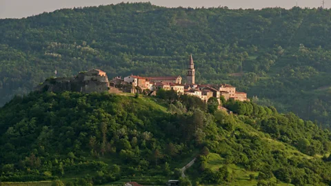 David Curic/Getty Images Many of the white truffles believed to be from Alba, Italy, were actually from Istria (Credit: David Curic/Getty Images)