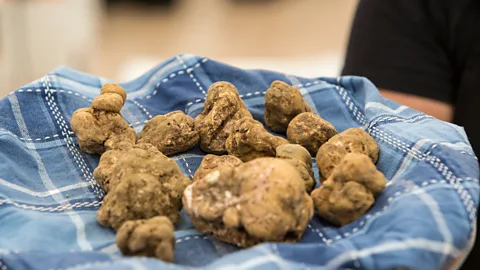 Westend61/Getty Images The price for white truffles reportedly reached €4,500 per kilogram in 2017 (Credit: Westend61/Getty Images)