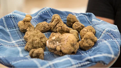 Westend61/Getty Images white truffles