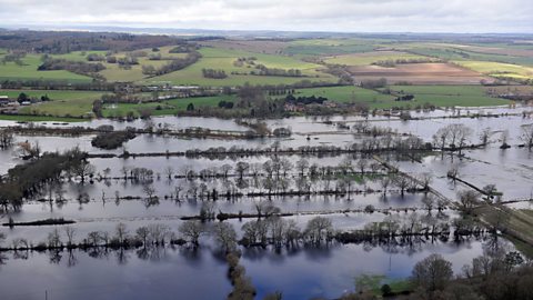 Aerial view of flooded fields with trees and hedges poking out from teh water's surface