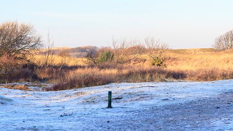 A dusting of snow on grass with hedges visible in the background, under a blue sky