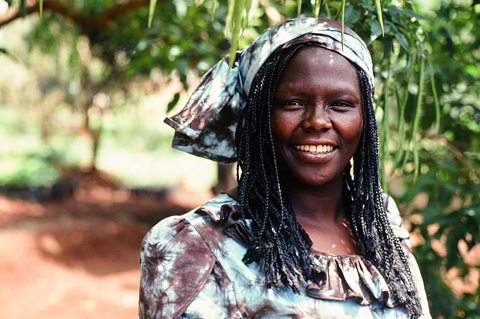 Planting the Trees of Kenya The Story of Wangari Maathai
