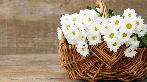 Focus image: A basket of flowers