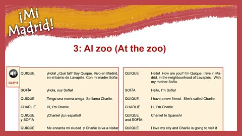 Download the transcript / translation (pdf)