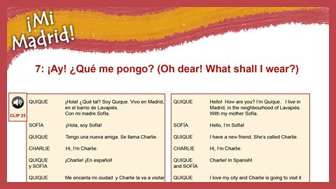 Download the transcript / translation (pdf)