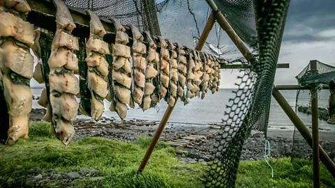 Arctic-Images/Getty Images Icelanders have a different relationship to their food than most (Credit: Arctic-Images/Getty Images)