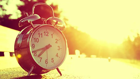 Alamy As the experiment wore on, it began to show some unexpected results (Credit: Alamy)