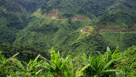 Alamy US forces tried to disrupt North Vietnamese supply line in the Vietnam War with attempts to increase rainfall (Credit: Alamy)