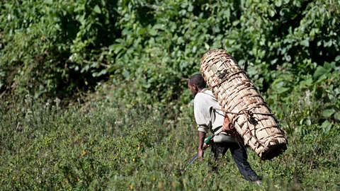 Nigel Sawyer/Alamy Families with larger numbers of beehives and a higher yield of honey are held in high regard (Credit: Nigel Sawyer/Alamy)