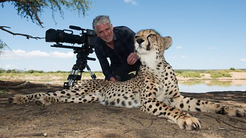 BBC Two - Animals with Cameras